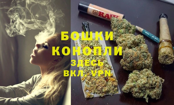 соль ск Лагань