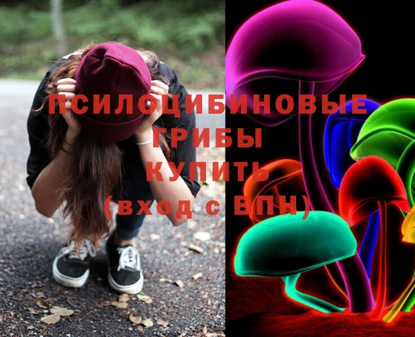 соль ск Лагань