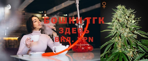 соль ск Лагань